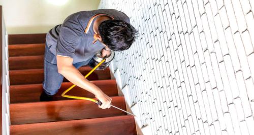 سم پاشی در اصفهان