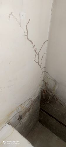 سم پاشی اداره جات در اصفهان