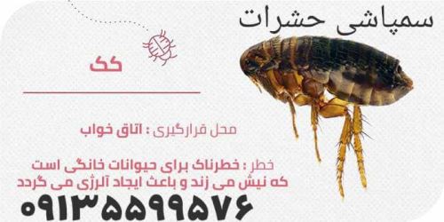 سم پاشی در اصفهان