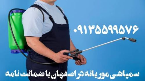 سمپاشی موریانه اصفهان