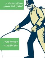 سمپاشی موریانه در اصفهان