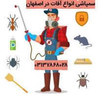 سم پاشی خانگی