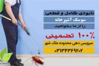 سمپاشی خانگی