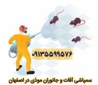 سمپاشی اداره ها در اصفهان