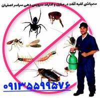 سمپاشی شرکت ها در اصفهان