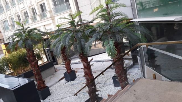 اجرای فضای سبز در تهران و شمال 