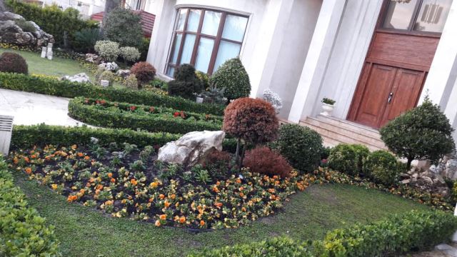 اجرای فضای سبز در تهران و شمال 