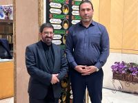 حمید صیفوری