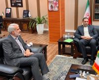 حمید صیفوری