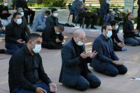 حمید صیفوری