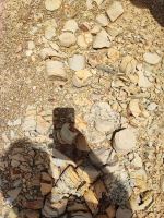 اکتشاف آب و منابع زیر زمینی