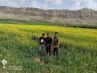 اکتشاف معادن زیرزمینی