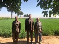 اکتشاف معادن زیرزمینی