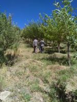 اکتشاف معادن زیرزمینی