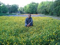 اکتشاف معادن زیرزمینی