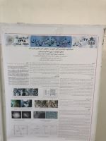 اکتشاف معادن زیرزمینی