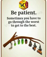 سید مصطفی محمودی