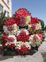 بازار گل بهشت زهرا