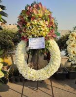 بازار گل محلاتی تهران