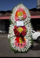 بازار گل امام رضا