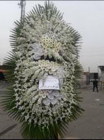 بازار گل امام رضا