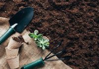 خرید کود ارگانیک در کرمان