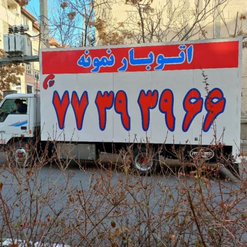 باربری میگون