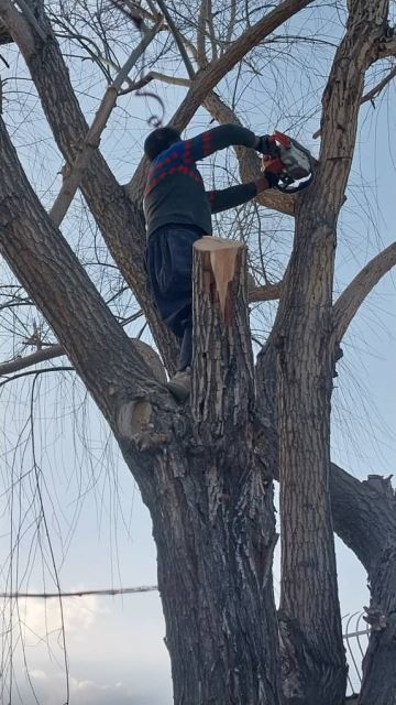 باغبان در اصفهان