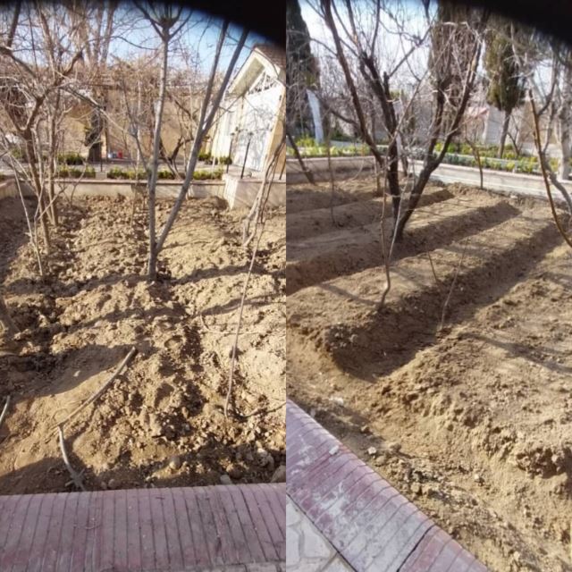 باغبان اصفهان