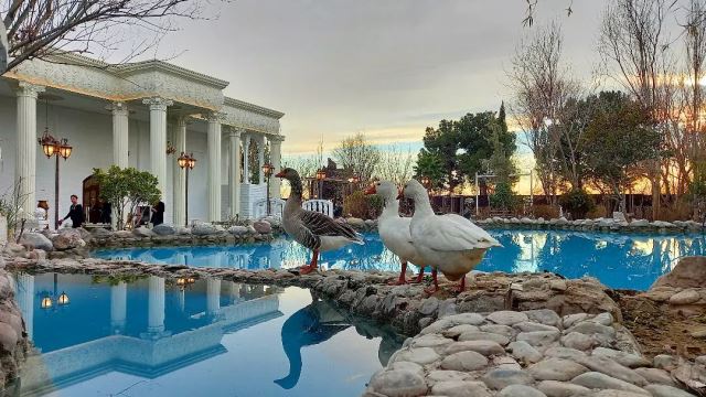 تشریفات لوکس اکبری 