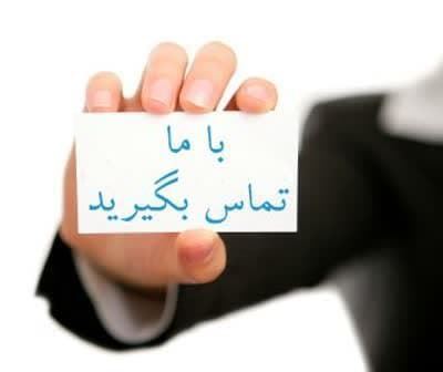 خرید پامرانین خرسی 