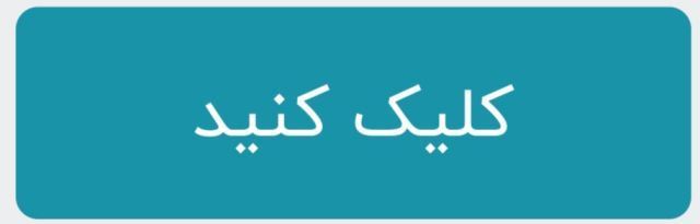 خرید پامرانین خرسی 