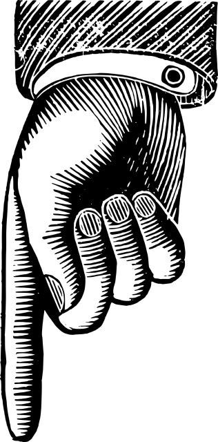 خرید پامرانین خرسی 