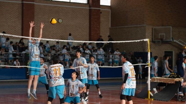 آکادمی والیبال در تهران 