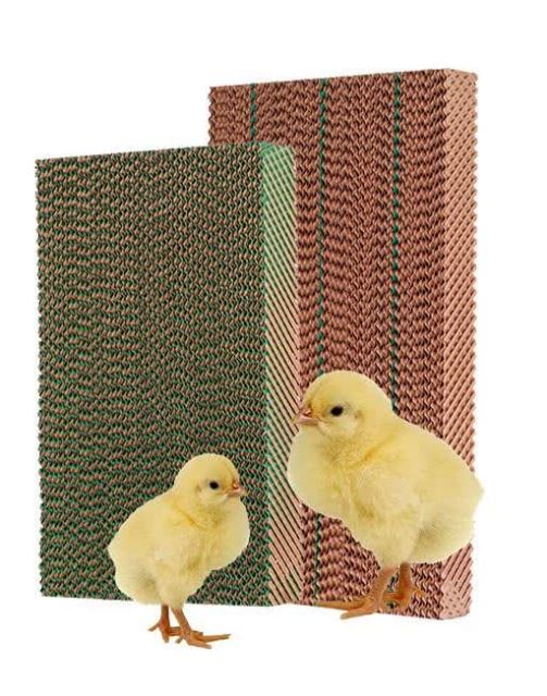 شرکت هوا سلولز/پد مرغداری