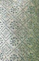 انجام خدمات پادری و فرشینه در تهران