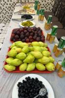 کاروان زیارتی قافله سالار زینب کبری(س)