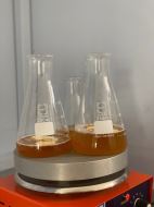 سوسیس و کالباس ارگانیک