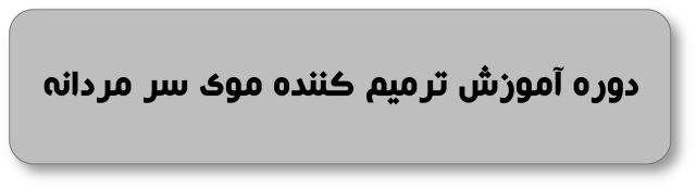 ترمیم کننده موی سر مردانه