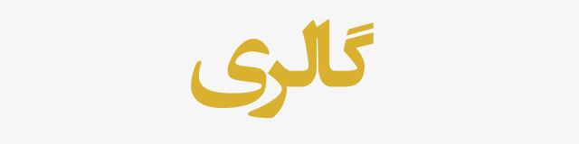 خرید عمده مانتو مزونی