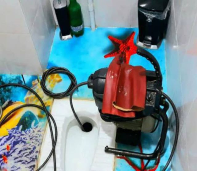 لوله بازکنی گلسار