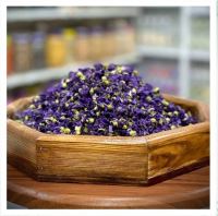 عطاری نصیری