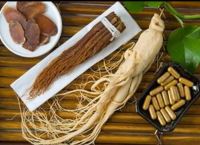 عطاری نصیری