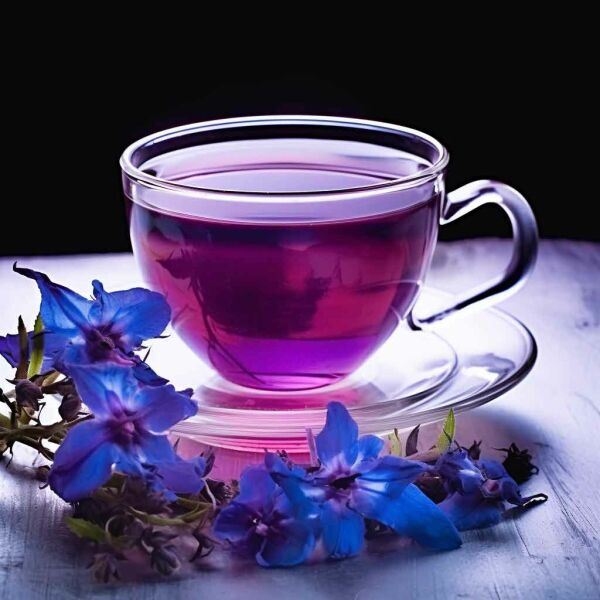 عطاری نصیری