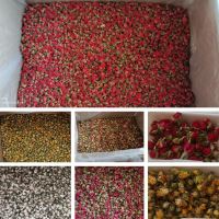 عطاری نصیری