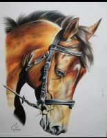 بهترین اموزشگاه طراحی در اصفهان