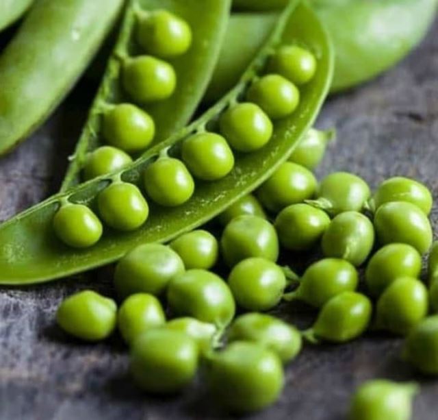 تولید و صادرات نخود فرنگی دو منظوره منجمد شده۰۹۱۱۵۲۲۸۶۰۴ 