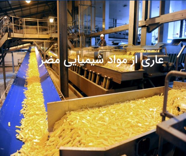 تولید و صادرات سیب خلال نیمه سرخ شده منجمد 