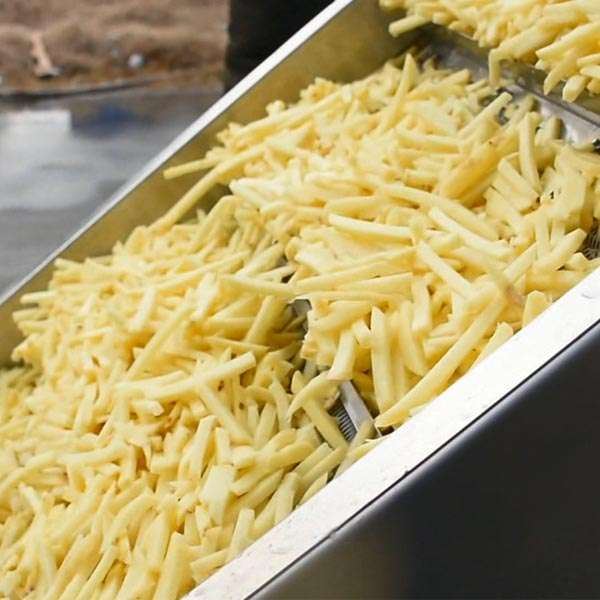 خرید و فروش سیب زمینی بسته بندی نیمه آماده09115228604