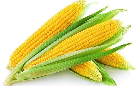 خرید و فروش سیب زمینی بسته بندی نیمه آماده09115228604